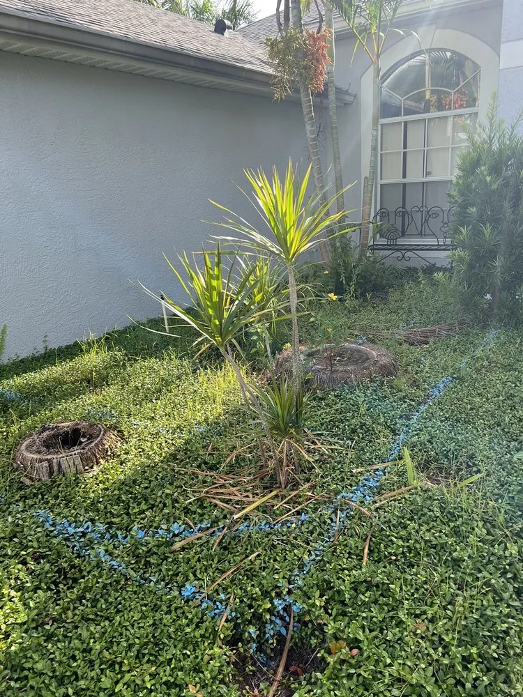 Expert lawn mowing service in Rockledge, FL by Rockledge Lawns And Landscaping