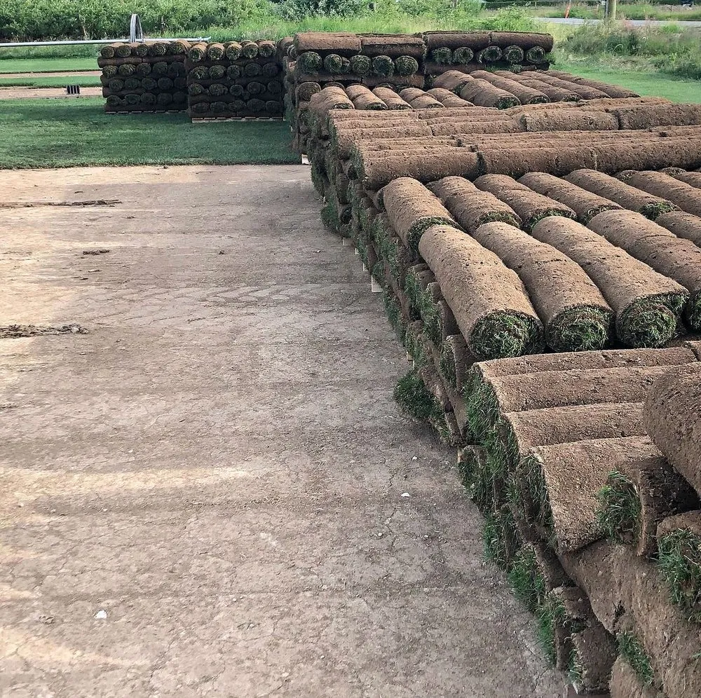 Affordable garden landscaping in Sacramento, CA by Rocklin Lawn Care