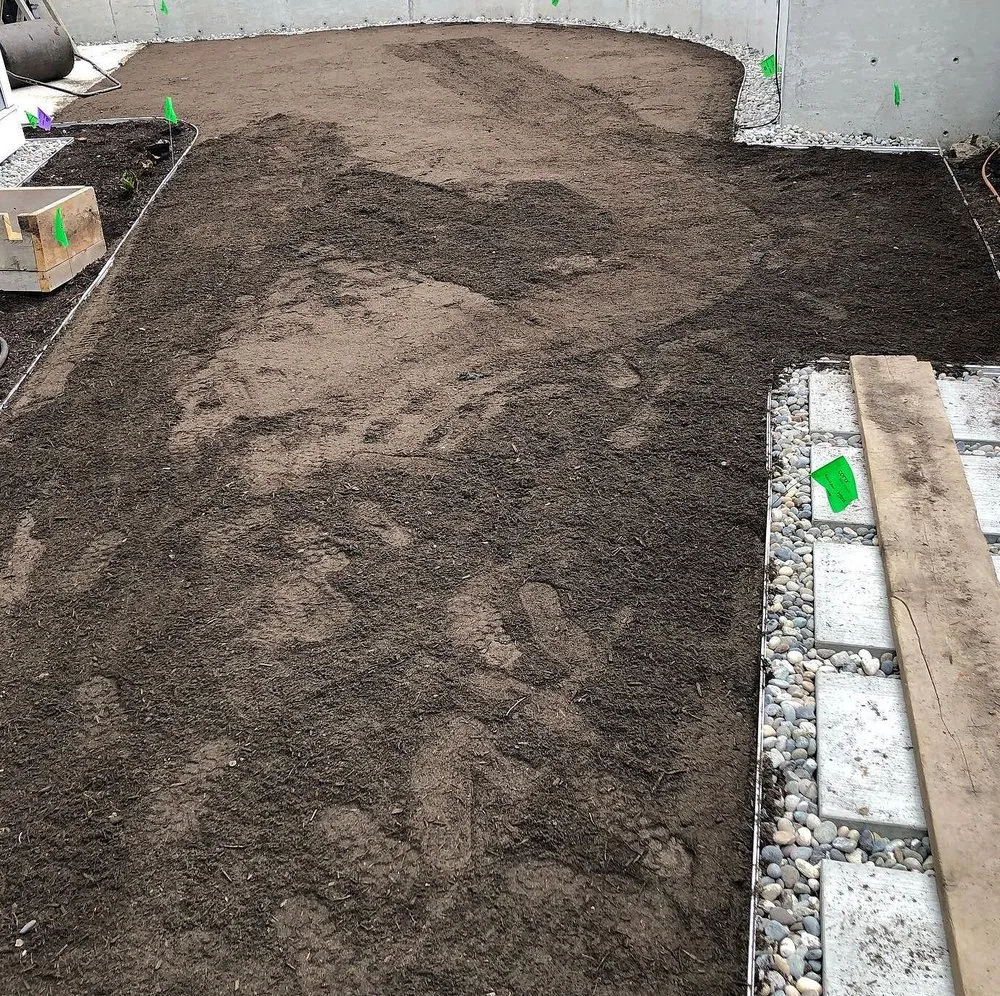 Expert landscaping services in Sacramento, CA by Rocklin Lawn Care