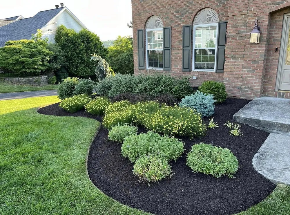 Professional landscape design in Sacramento, CA - Rocklin Lawn Care