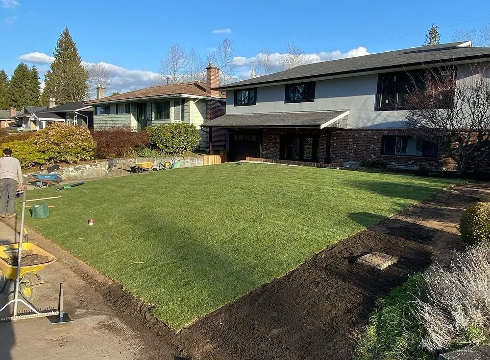 Reliable yard cleanup service in Sacramento, CA by Rocklin Lawn Care