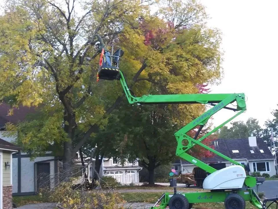 Affordable yard cleanup service for year-round maintenance in Loretto, MN by Rockman Landscaping & Tree Service