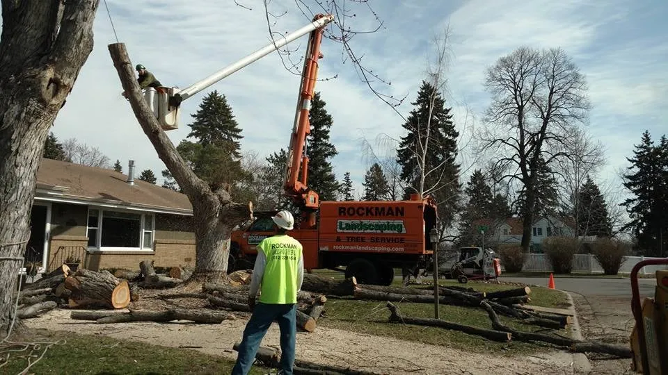 Affordable landscaping services with custom design across Loretto, MN - Rockman Landscaping & Tree Service