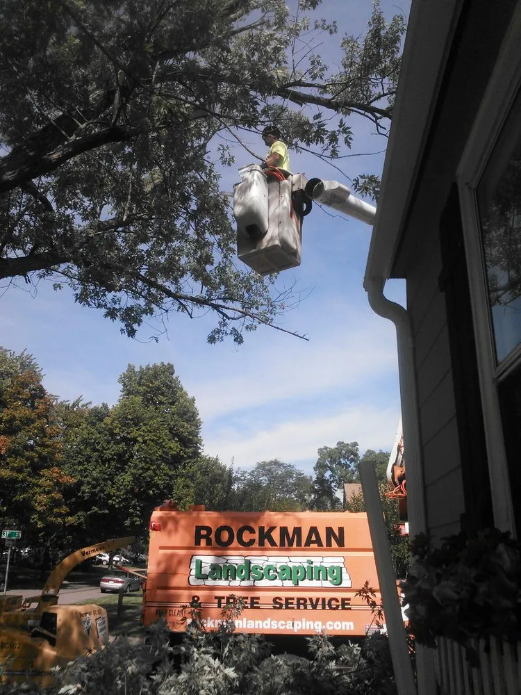 Top-rated lawn care service with custom design across Loretto, MN - Rockman Landscaping & Tree Service