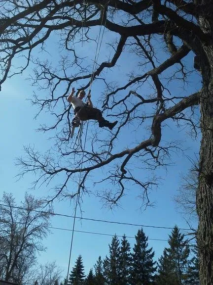 Reliable landscaping services experts serving Loretto, MN - Rockman Landscaping & Tree Service