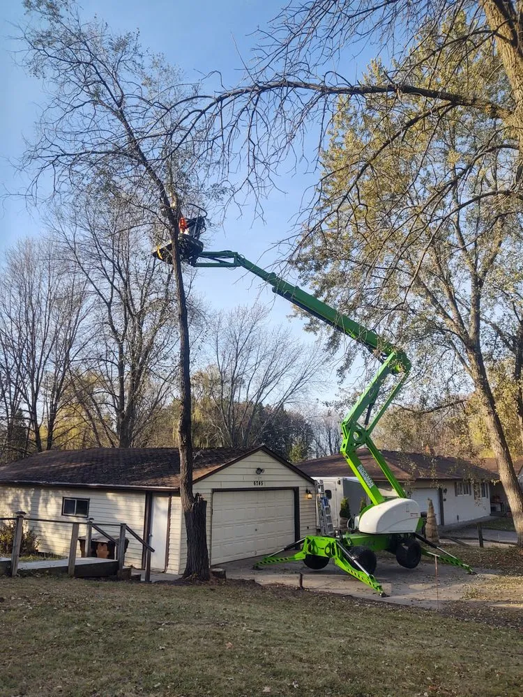 Top-rated garden landscaping in Loretto, MN - Rockman Landscaping & Tree Service
