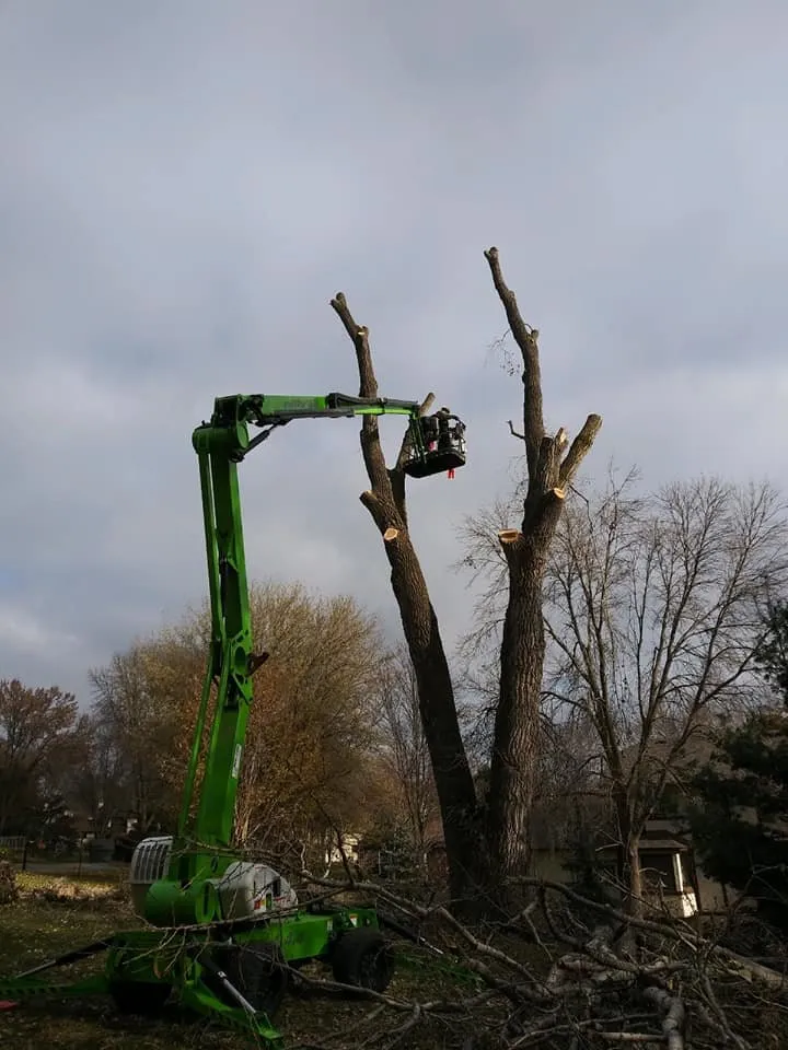 Top-rated landscaping services experts serving Loretto, MN - Rockman Landscaping & Tree Service