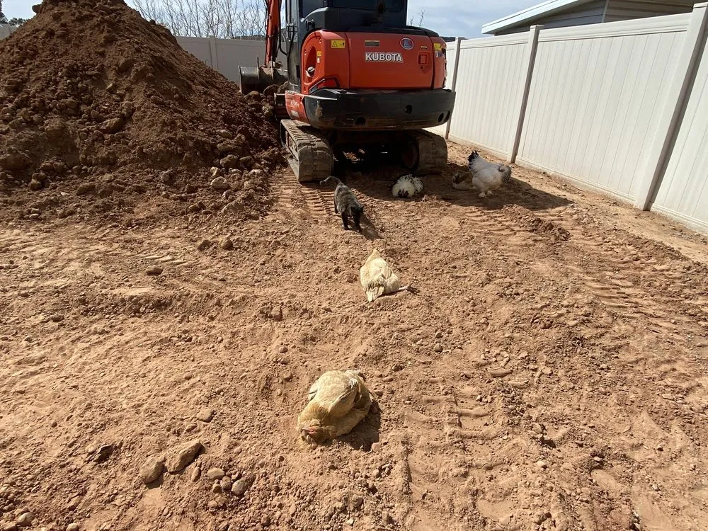 Reliable yard maintenance for beautiful yards in St. George, UT by Rock'N A Excavation and Landscapes