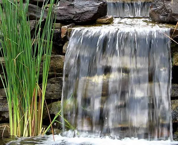 Professional landscape installation with custom design across Draper, UT - Rockology Utah