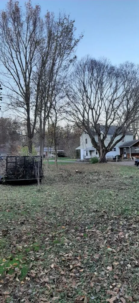 Expert yard cleanup service in Berea, KY by Rocks for Socks