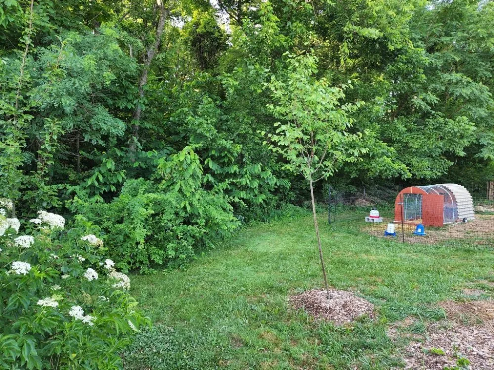 Expert residential landscaping near you in Berea, KY by Rocks for Socks