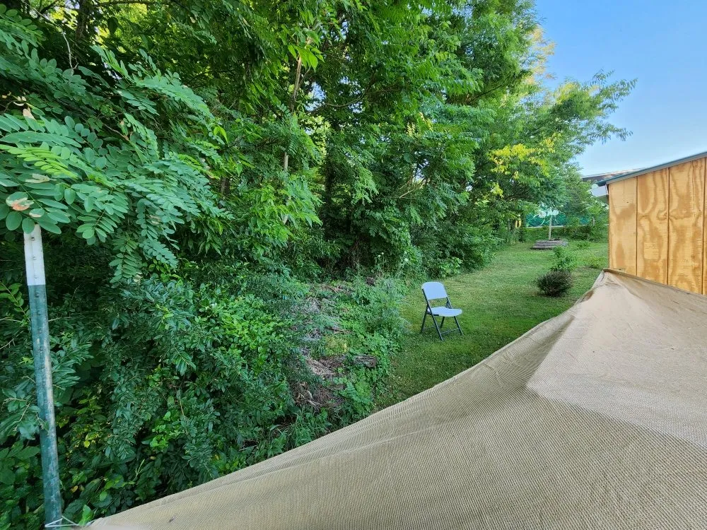 Reliable yard cleanup service in Berea, KY - Rocks for Socks