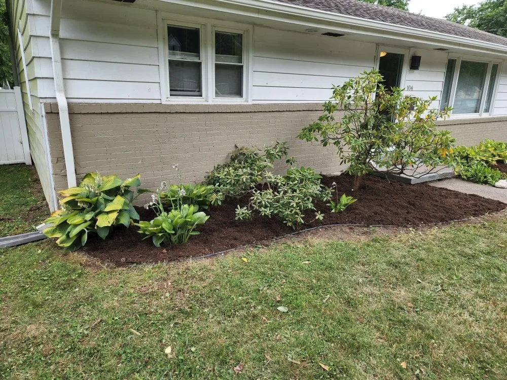 Expert yard maintenance in Berea, KY by Rocks for Socks
