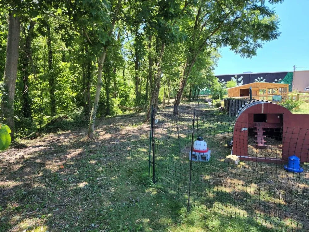 Professional landscape installation experts serving Berea, KY - Rocks for Socks