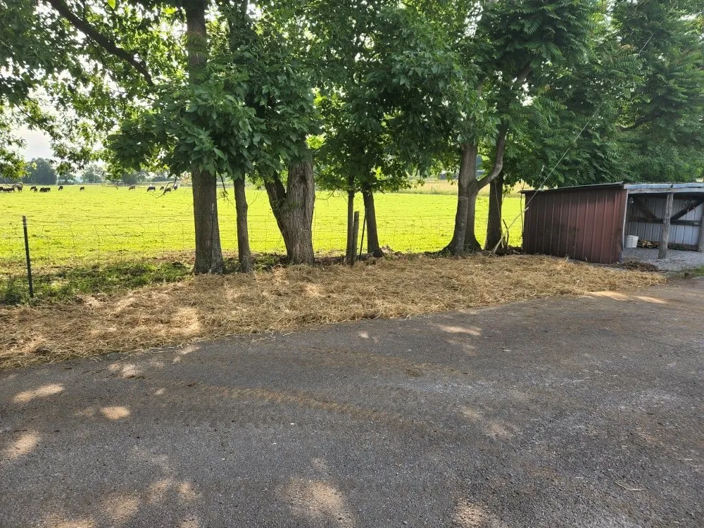 Reliable lawn mowing service for homes across Berea, KY - Rocks for Socks