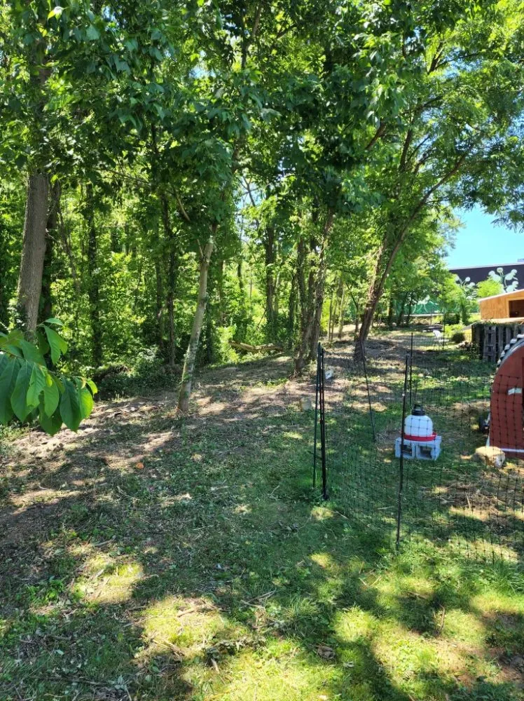 Expert landscaping services in Berea, KY - Rocks for Socks