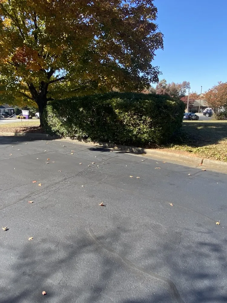 Professional outdoor landscaping for beautiful yards in Asheboro, NC by Rocks Landscaping