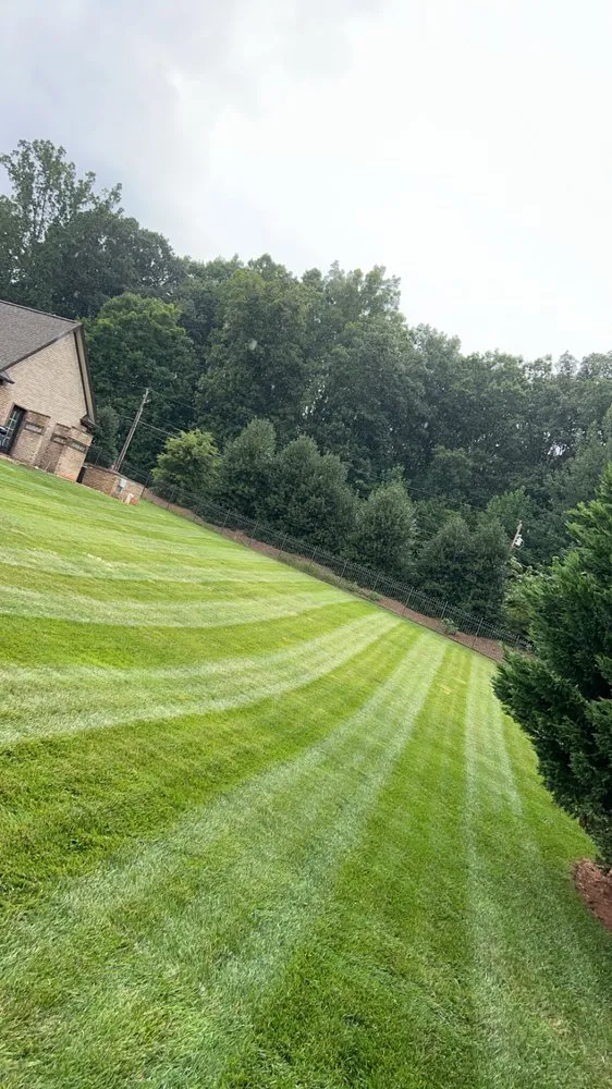 Affordable yard cleanup service in Asheboro, NC by Rocks Landscaping
