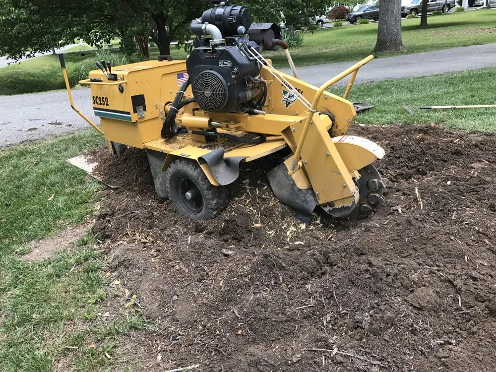 Reliable lawn mowing service experts serving Ellenboro, NC - Rock’s Lawn Care and Property Maintenance