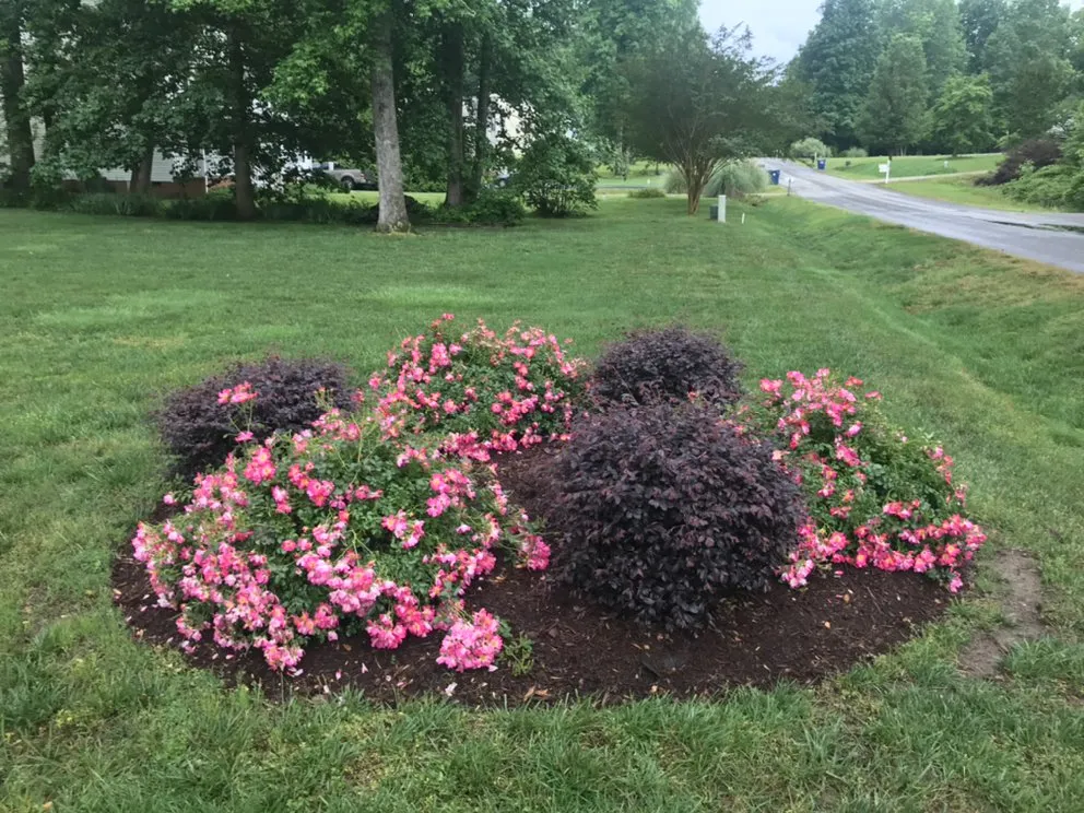 Trusted outdoor landscaping in Ellenboro, NC - Rock’s Lawn Care and Property Maintenance
