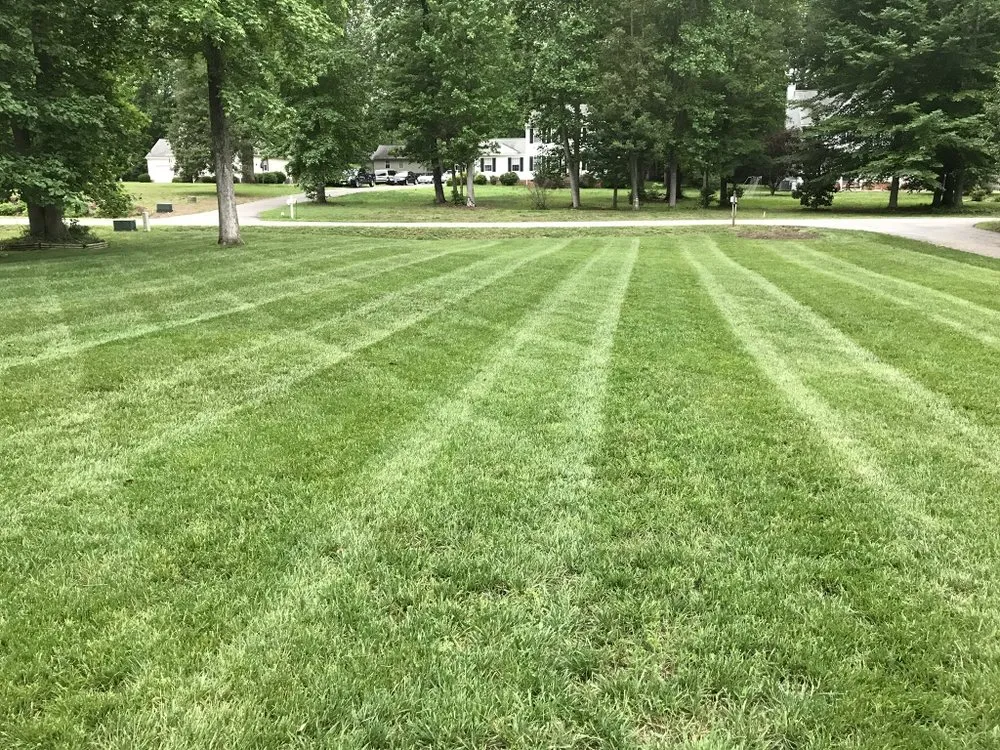 Top-rated lawn care service for residential properties in Ellenboro, NC by Rock’s Lawn Care and Property Maintenance