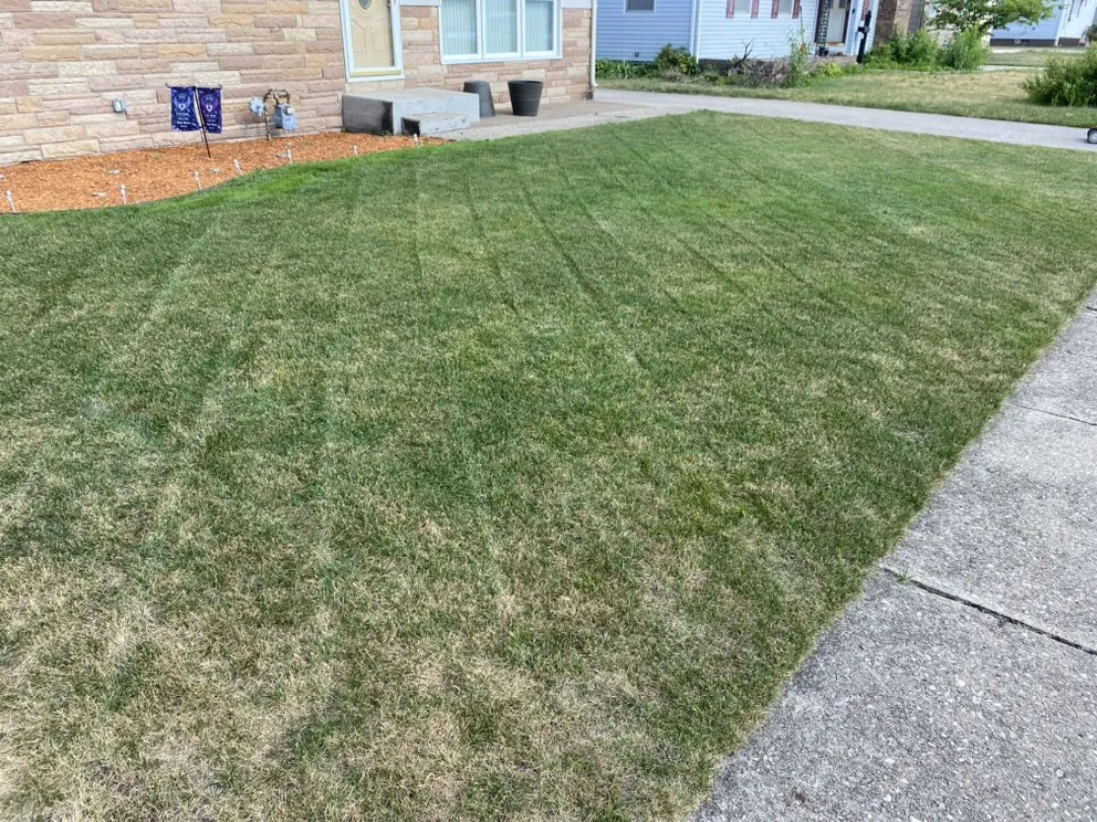 Affordable yard cleanup service for year-round maintenance in South Bend, IN by Rocks Lawn Care