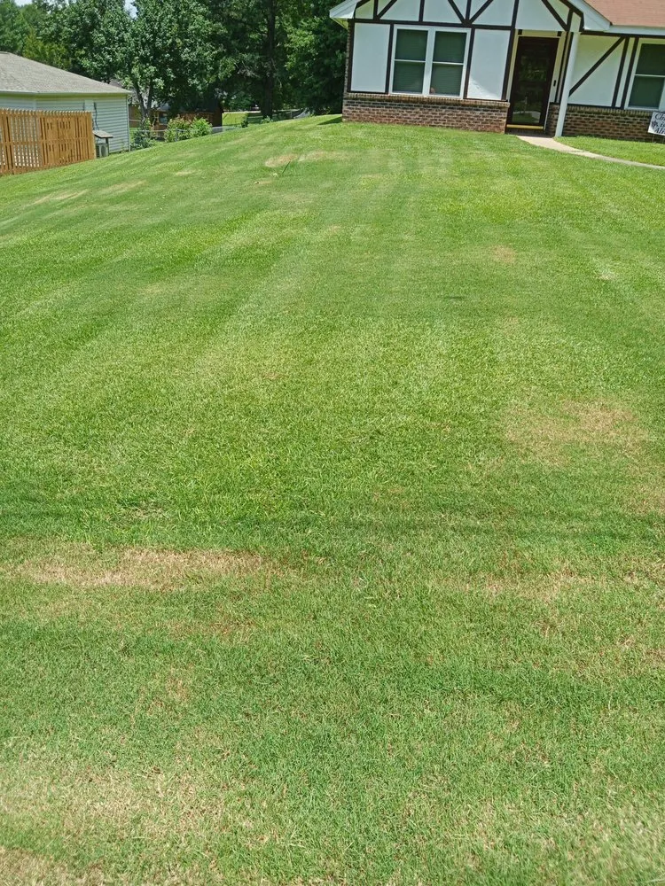 Local yard cleanup service experts serving Opelika, AL - Rock's Lawn Service