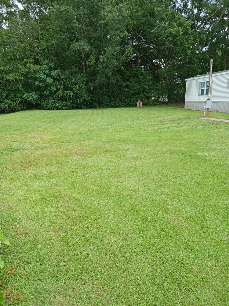 Custom landscape design for outdoor upgrades in Opelika, AL by Rock's Lawn Service