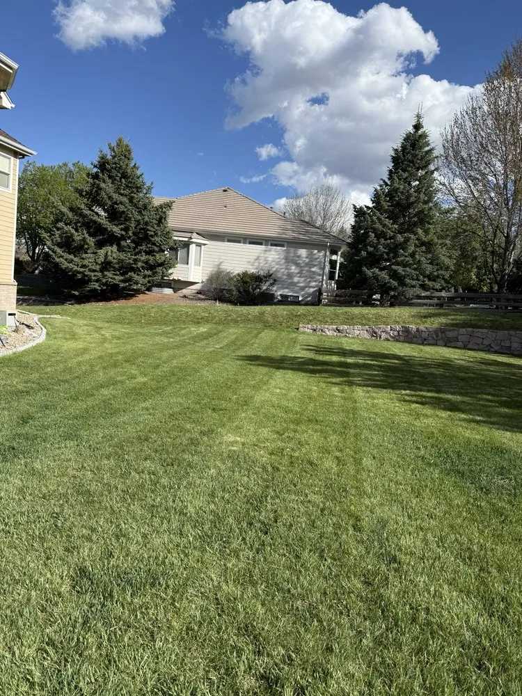 Professional landscape installation in Castle Rock, CO - Rockscape