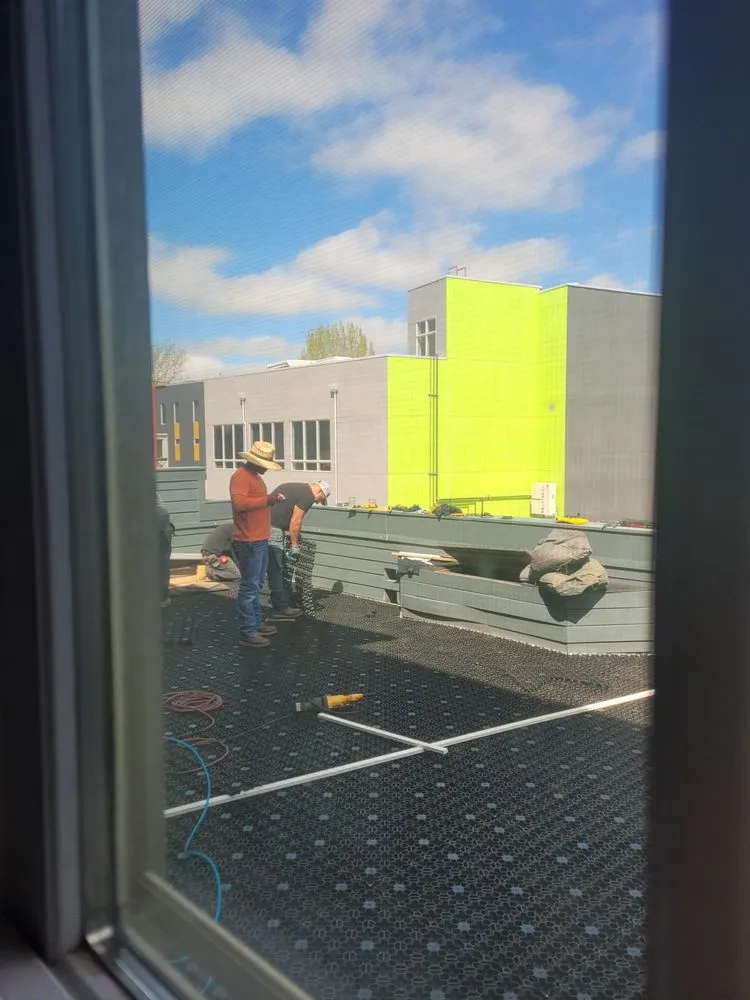 Affordable landscape design in Denver, CO by RockSolid Turf and Landscape