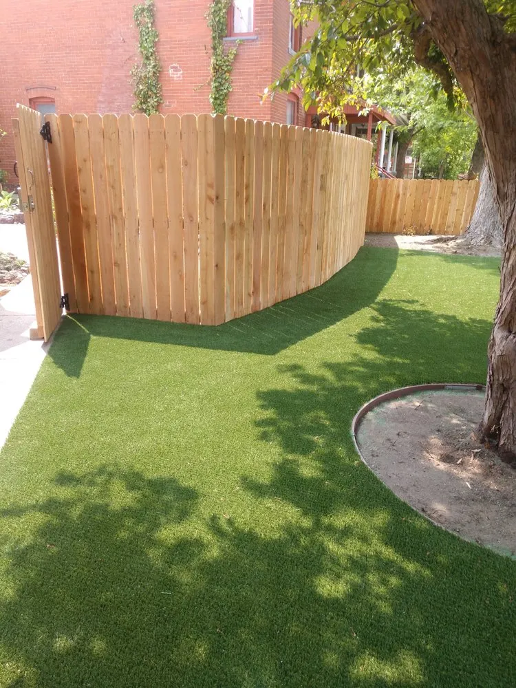 Expert yard cleanup service in Denver, CO by RockSolid Turf and Landscape