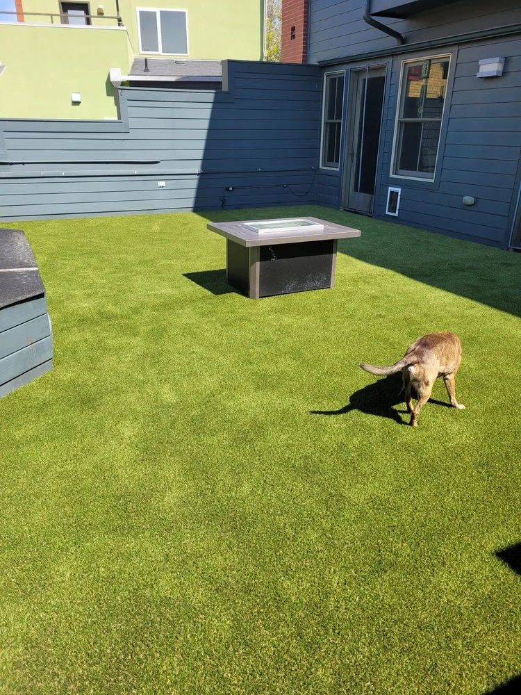 Professional yard cleanup service for beautiful yards across Denver, CO - RockSolid Turf and Landscape