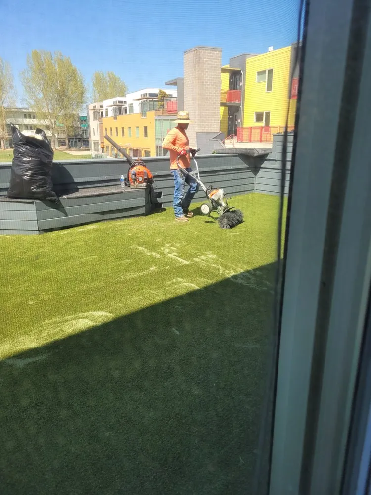 Affordable yard cleanup service for homes across Denver, CO - RockSolid Turf and Landscape