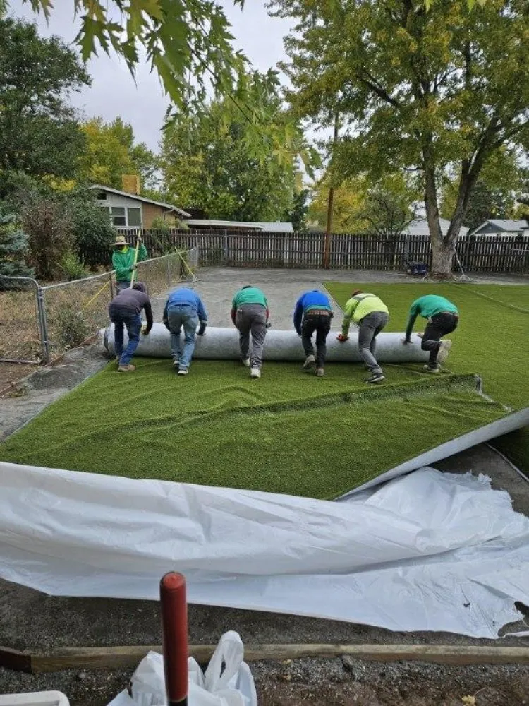 Local yard cleanup service in Denver, CO by RockSolid Turf and Landscape