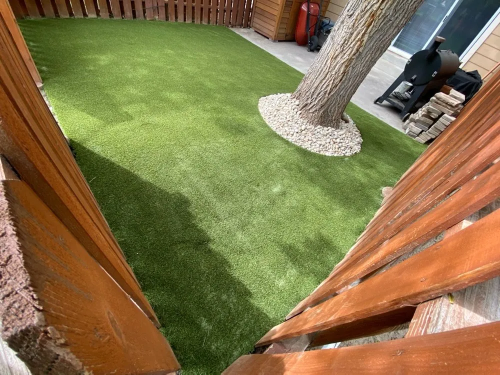 Reliable landscaping services in Denver, CO by RockSolid Turf and Landscape