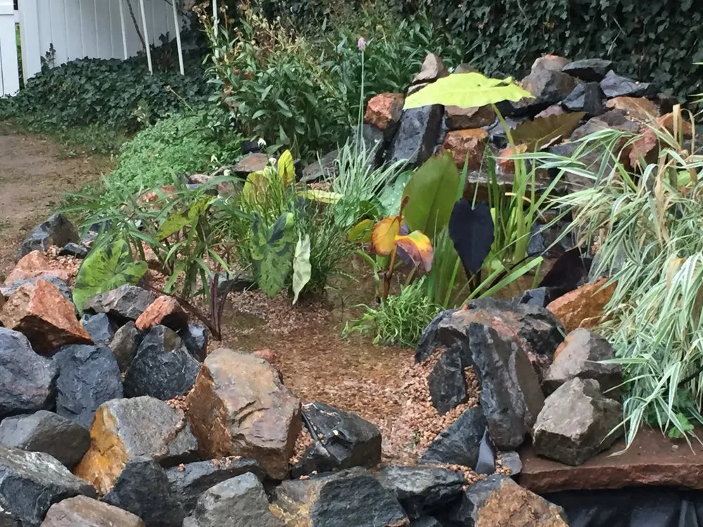 Reliable garden landscaping in Denver, CO - RockStar Aquatics