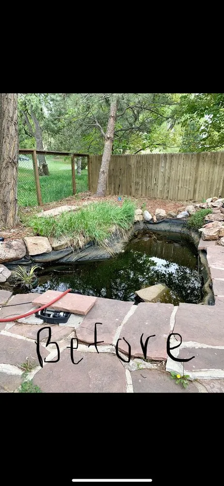 Custom yard maintenance in Denver, CO by RockStar Aquatics