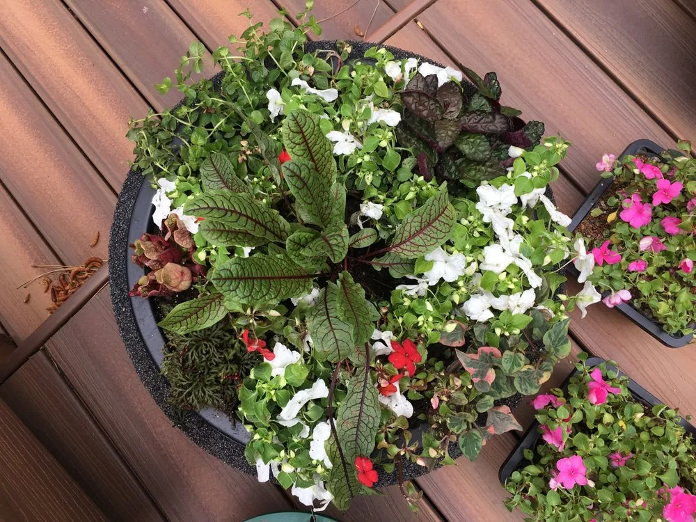 Reliable outdoor landscaping for outdoor upgrades across Denver, CO - RockStar Aquatics