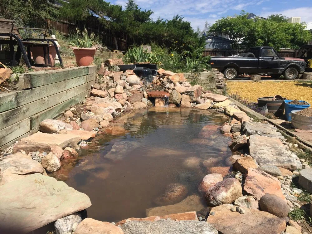 Trusted lawn care service with custom design in Denver, CO by RockStar Aquatics