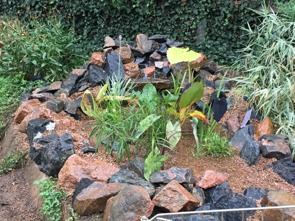 Top-rated yard maintenance in Denver, CO - RockStar Aquatics