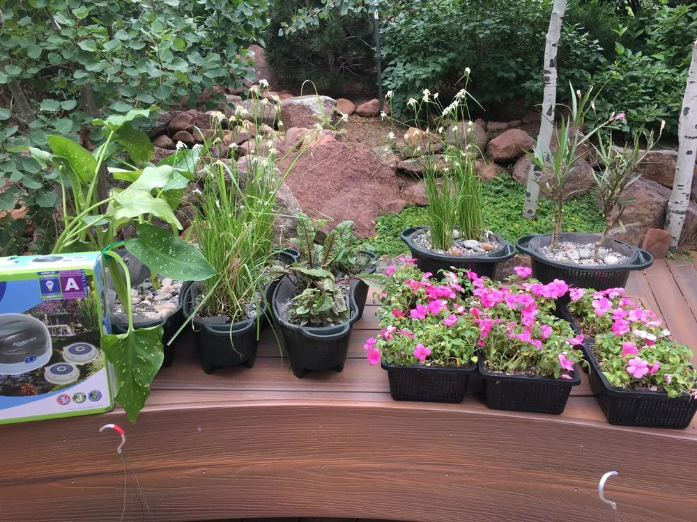 Affordable landscape design experts serving Denver, CO - RockStar Aquatics