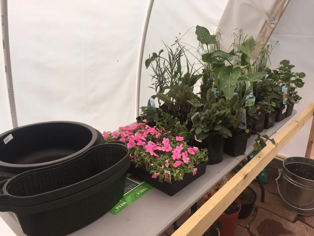 Top-rated lawn care service for outdoor upgrades in Denver, CO by RockStar Aquatics