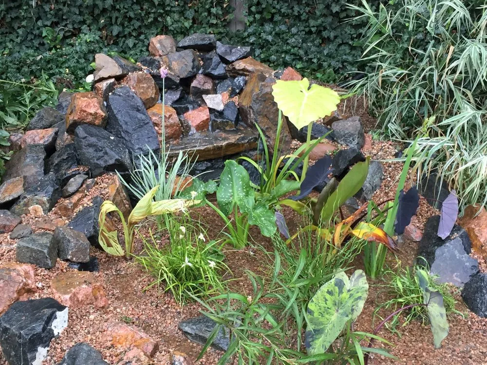 Affordable landscape design with custom design in Denver, CO by RockStar Aquatics
