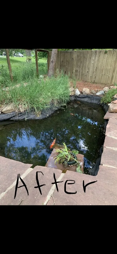 Expert yard maintenance for residential properties across Denver, CO - RockStar Aquatics