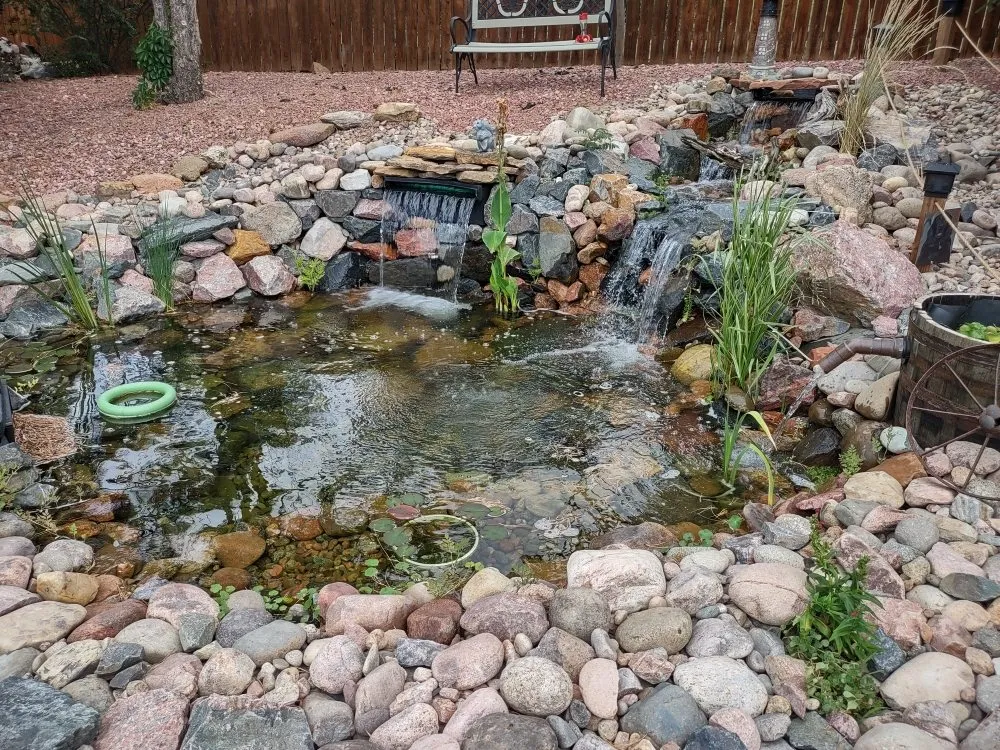 Expert yard cleanup service in Colorado Springs, CO - Rockstar Landsculpting