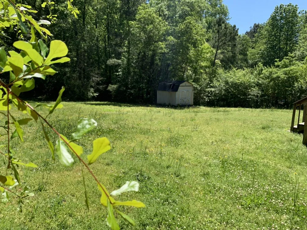 Reliable lawn mowing service in Covington, GA by Rockstar Lawn Care