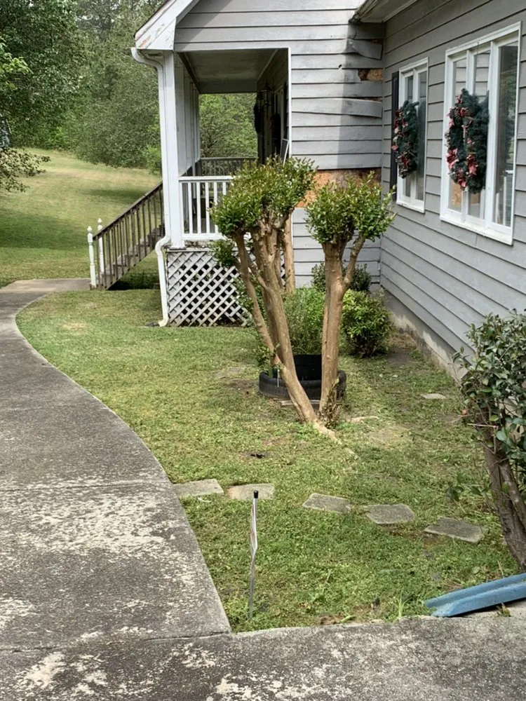 Reliable outdoor landscaping in Covington, GA - Rockstar Lawn Care
