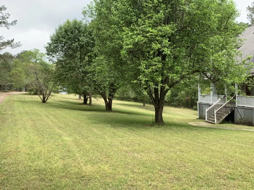 Affordable residential landscaping in Covington, GA by Rockstar Lawn Care