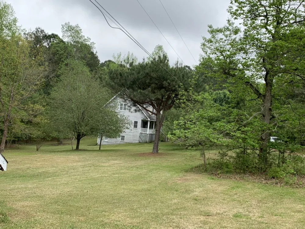 Trusted lawn care service for year-round maintenance in Covington, GA by Rockstar Lawn Care