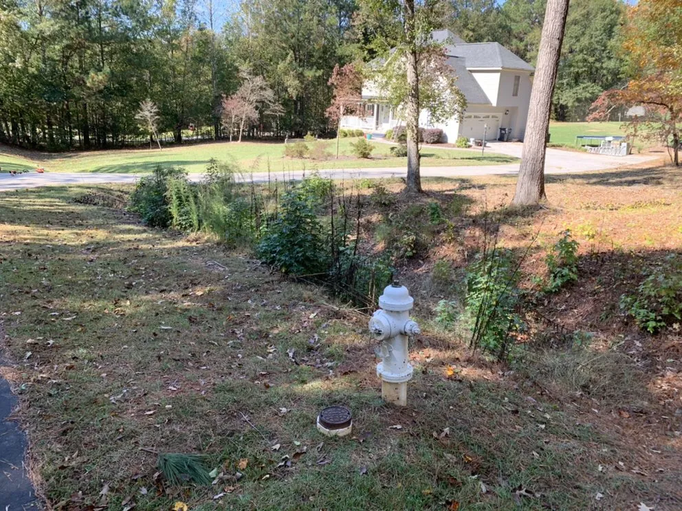 Reliable lawn care service for homes across Covington, GA - Rockstar Lawn Care